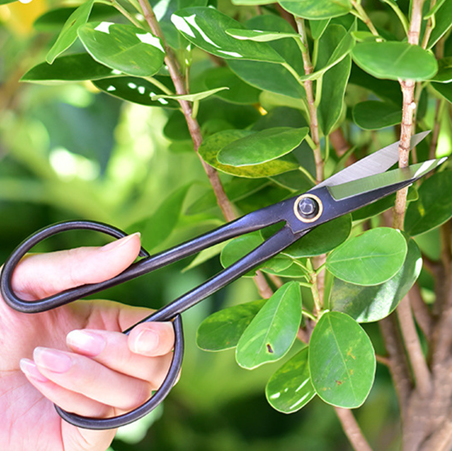 Gardening Tools For Beginners - 20.5cm Beginner Bonsai Tool Long Handle
