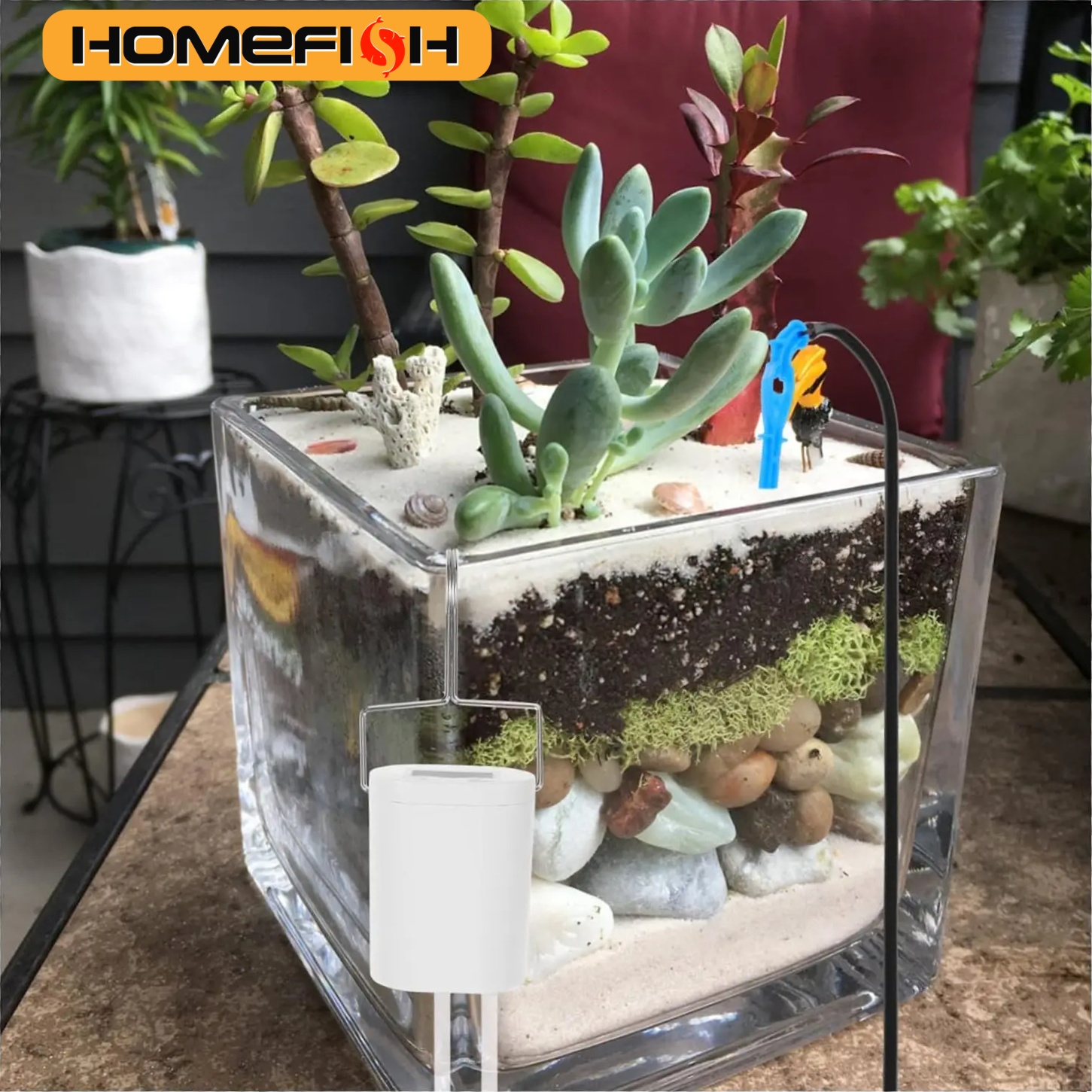 HOMEFISH Automatic Plant Flowe – Gardening Tools For Beginners Bewertung und Preis