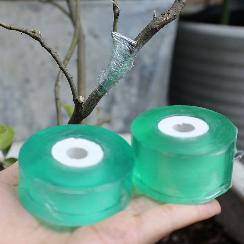 Self-Adhesive PE Grafting Tape – Grafting Tape Bewertung und Preis