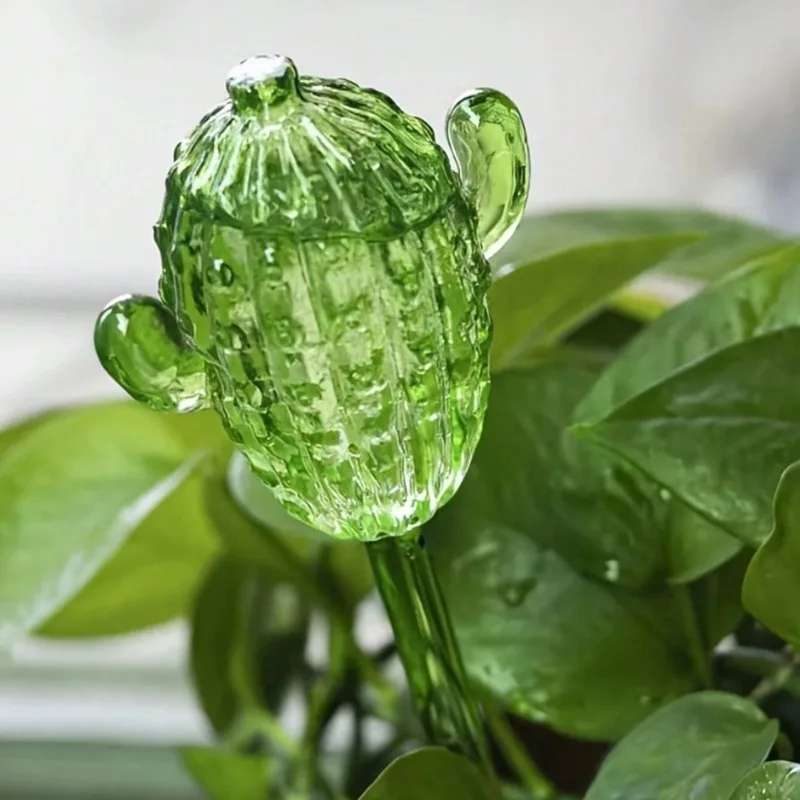 Unique Clear Plant Watering Ca – Gardening Tools For Beginners Bewertung und Preis