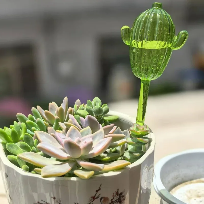 Unique Clear Plant Watering Ca – Gardening Tools For Beginners Bewertung und Preis
