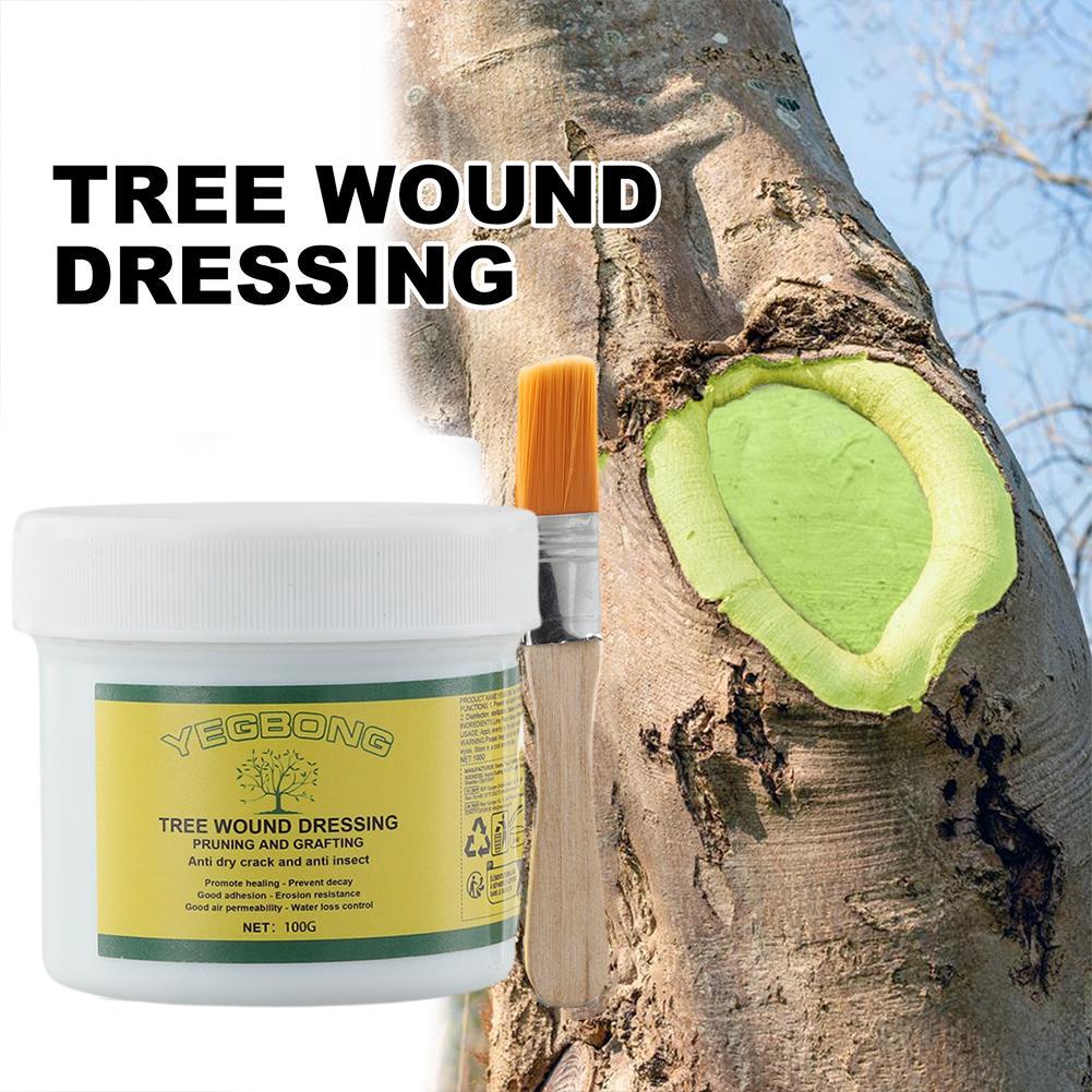 100g Tree Grafting Paste Tree  – Grafting Tape Bewertung und Preis