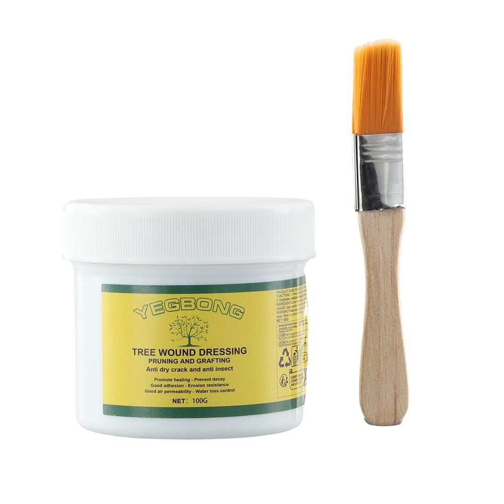 100g Tree Grafting Paste Tree  – Grafting Tape Bewertung und Preis
