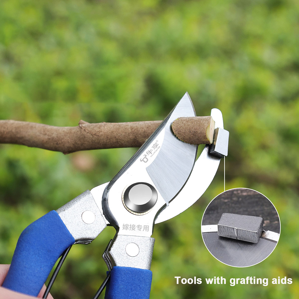 New Garden Scissors Profession – Gardening Tools For Beginners Bewertung und Preis