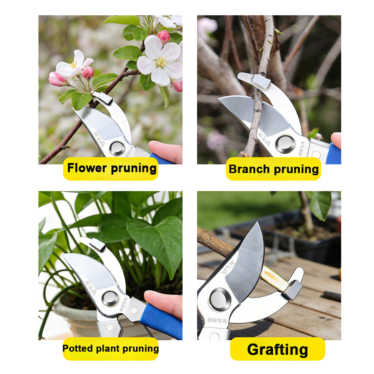 New Garden Scissors Profession – Gardening Tools For Beginners Bewertung und Preis