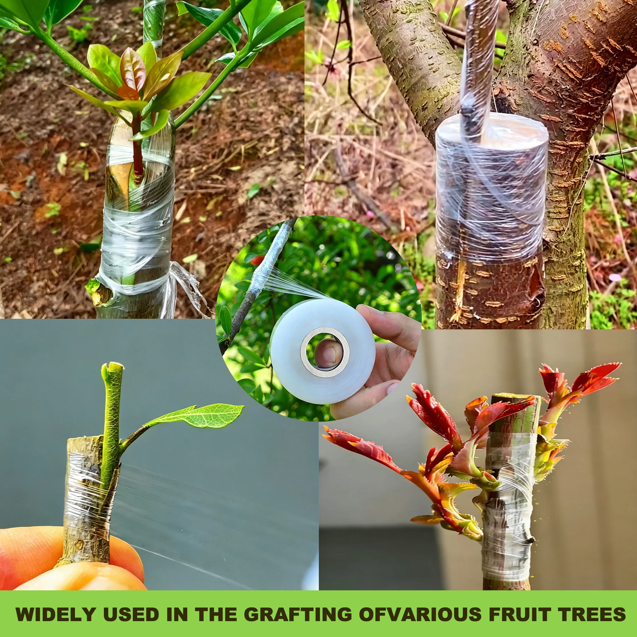 Self-adhesive PE Grafting Tape – Grafting Tape Bewertung und Preis