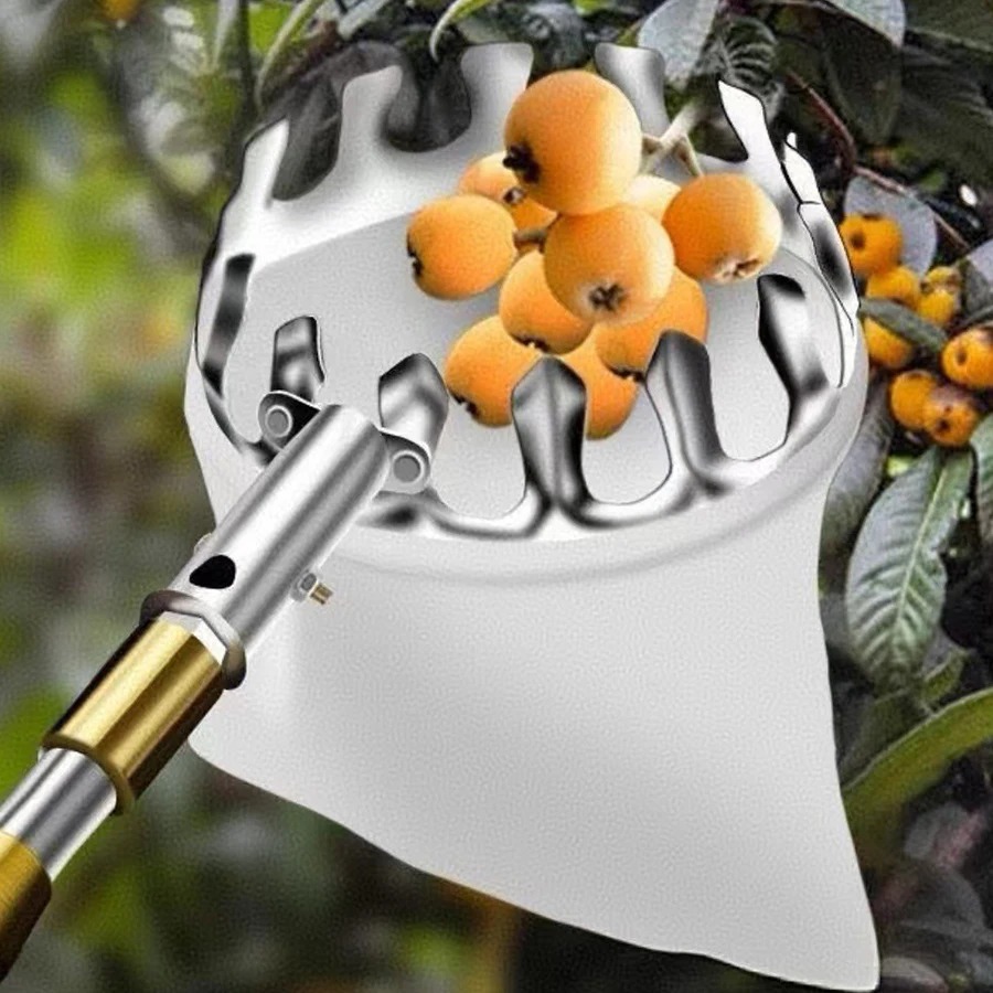 Professional Berry Picker Tool – Gardening Tools Organizer Bewertung und Preis