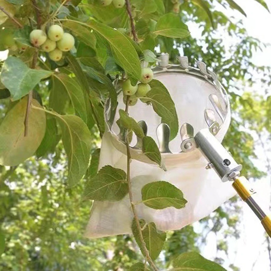 Professional Berry Picker Tool – Gardening Tools Organizer Bewertung und Preis