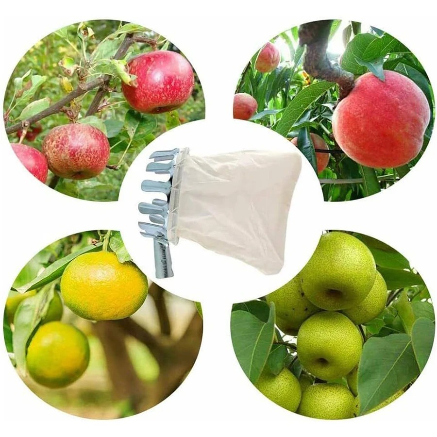 Professional Berry Picker Tool – Gardening Tools Organizer Bewertung und Preis