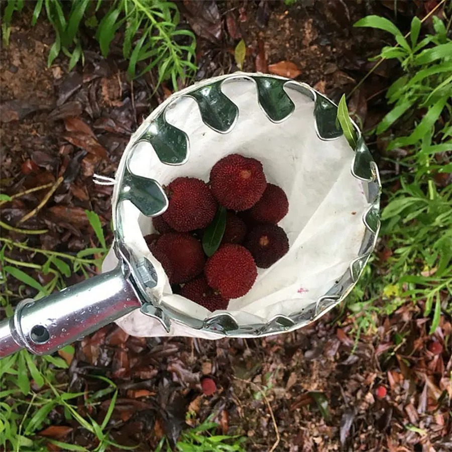 Professional Berry Picker Tool – Gardening Tools Organizer Bewertung und Preis