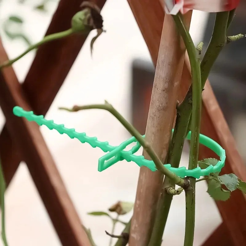 Reusable Garden Cable Ties Pla – Gardening Tools Organizer Bewertung und Preis