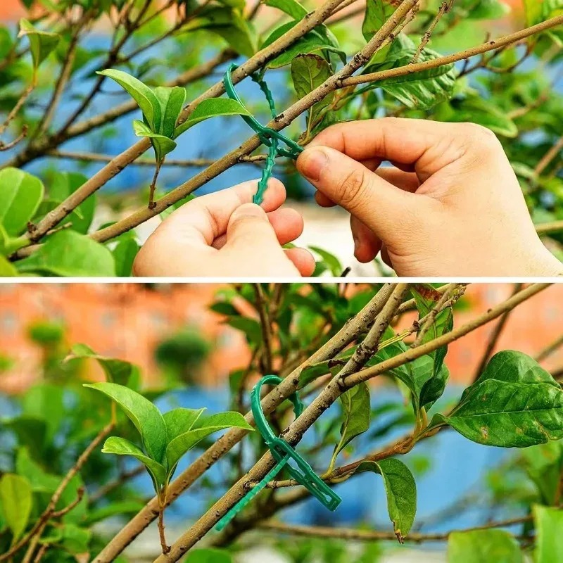 Reusable Garden Cable Ties Pla – Gardening Tools Organizer Bewertung und Preis
