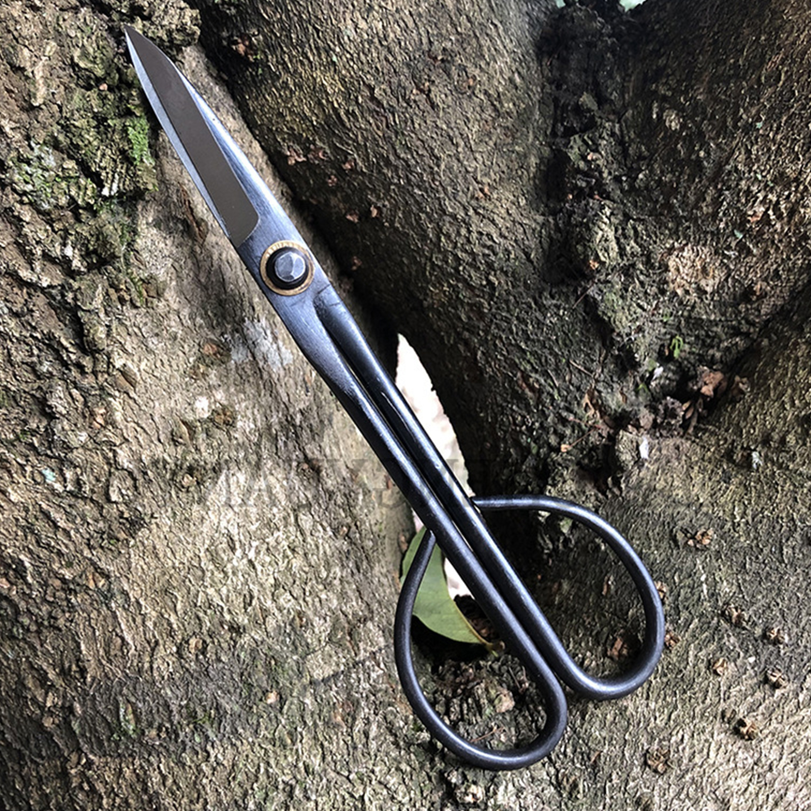 20.5cm Beginner Bonsai Tool Lo – Gardening Tools For Beginners Bewertung und Preis